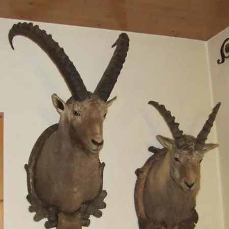 Wirtshaus Zum Wiesejaggl Kaunerberg