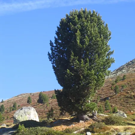 Wirtshaus Zum Wiesejaggl Πανσιόν