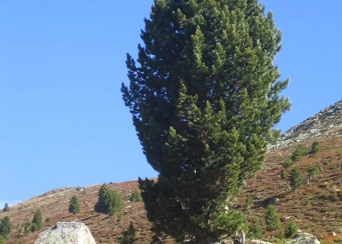 Wirtshaus Zum Wiesejaggl بيت ضيافة