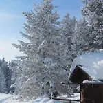 게스트하우스 Wirtshaus Zum Wiesejaggl